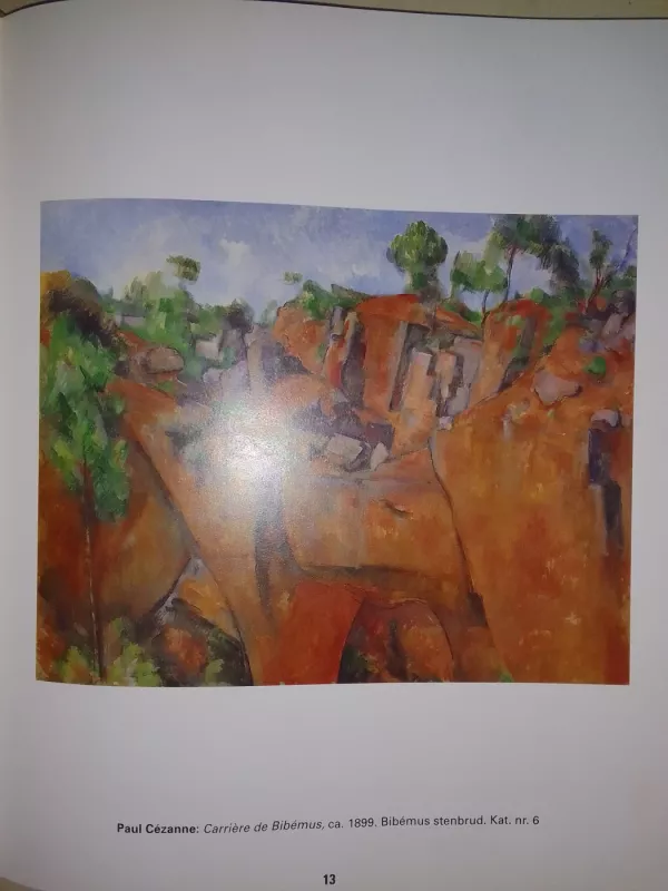 Fra van Gogh til Gerhard Richter. Hovedvaerker fra Museum - Autorių Kolektyvas, knyga 6