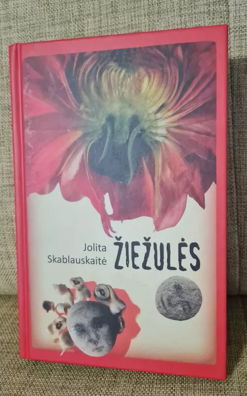 Žiežulės - Jolita Skablauskaitė, knyga 2