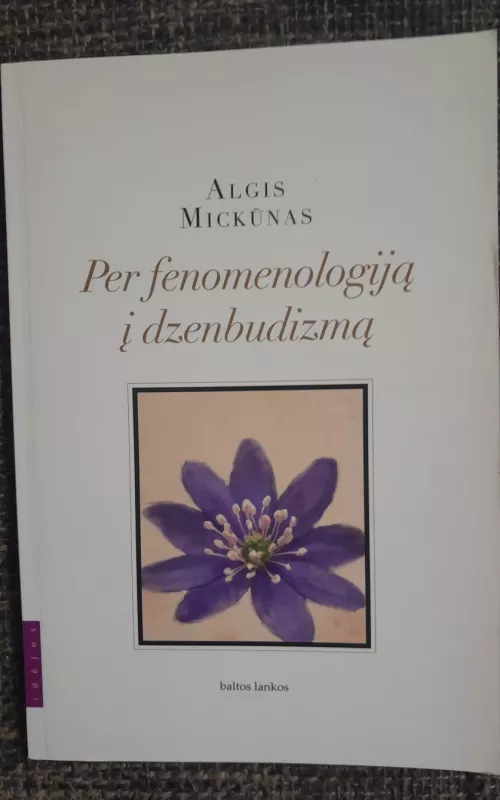 Per fenomenologiją į dzenbudizmą - Algis Mickūnas, knyga