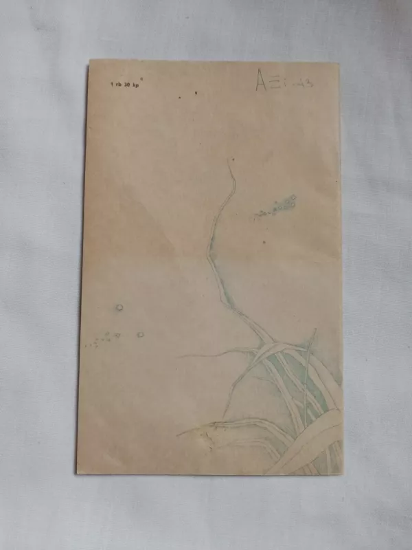 Kumeliuko kerštas - Vytautė Žilinskaitė, knyga 4