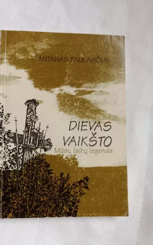 Dievas vaikšto. Mūsų laikų legenda - Antanas Paulavičius, knyga 2