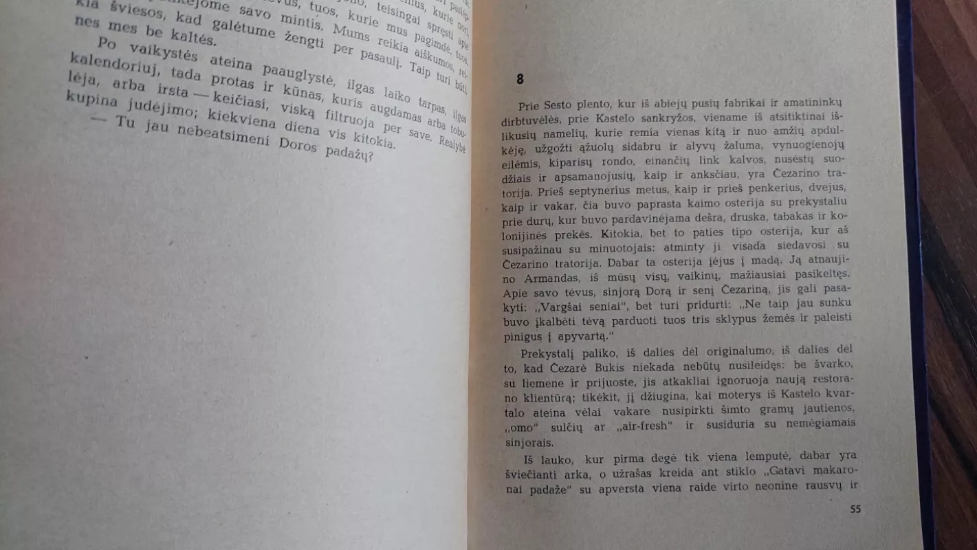 Proto blaivumas - Vasco Pratolinis, knyga 5