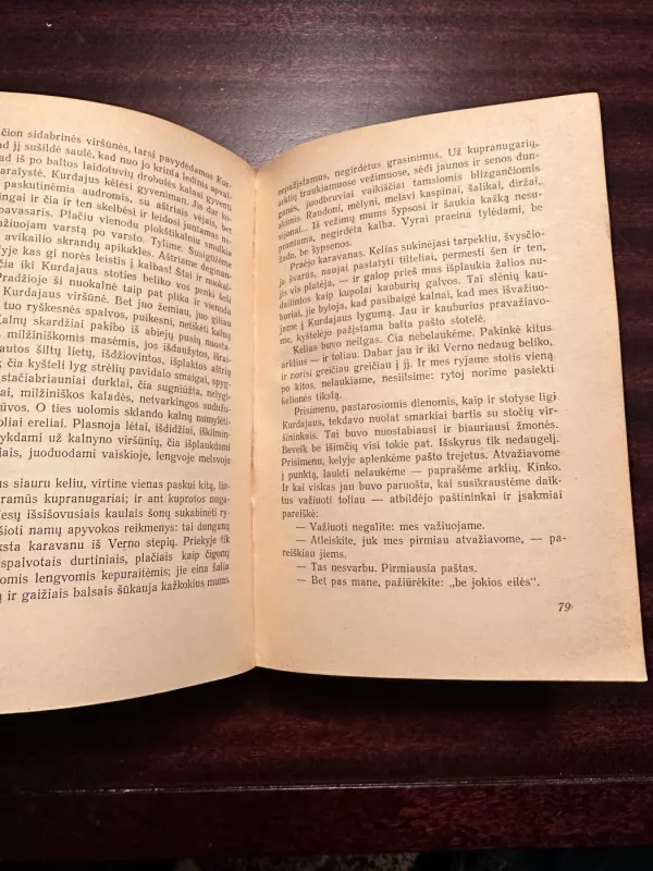 Maištas - Dmitrijus Furmanovas, knyga 4