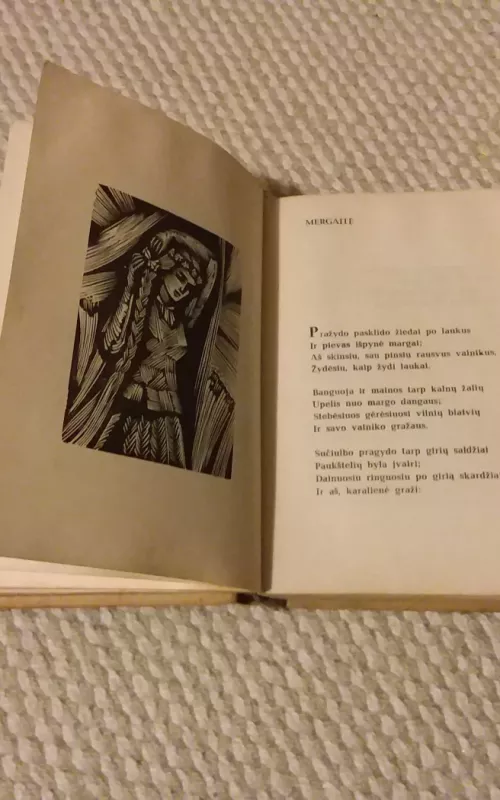 Maironis poezija rinktinė - Autorių Kolektyvas, knyga 2