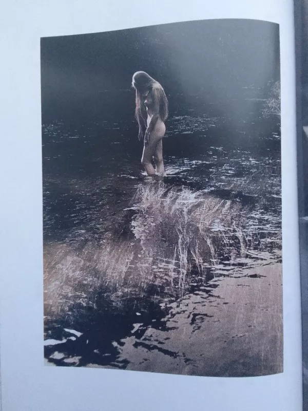 Das beste aus Litauen the best from lithuania Lietuvos fotomenas PELENĖ - Autorių Kolektyvas, knyga 3