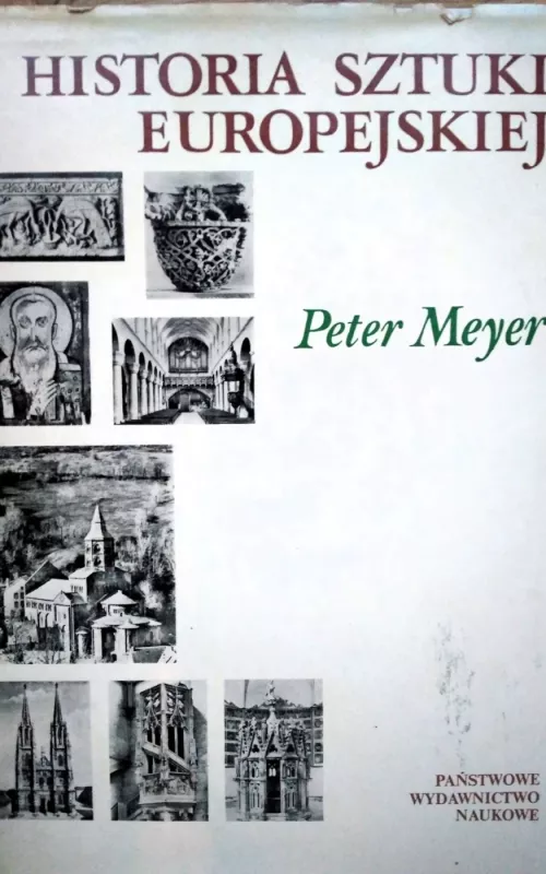 Historia Sztuki Europejskiej I, II - Peter Meyer, knyga 2