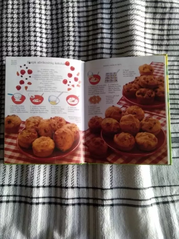 Ką veikti per atostogas? - Ray Gibson, knyga 4