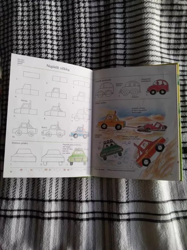 Ką veikti per atostogas? - Ray Gibson, knyga 5