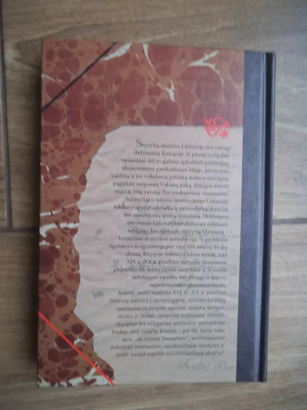 Vedusiųjų visuomenė: santuoka ir skyrybos Lietuvoje XIXamžiuje-XX amžiaus pradžioje - Dalia Marcinkevičienė, knyga 3