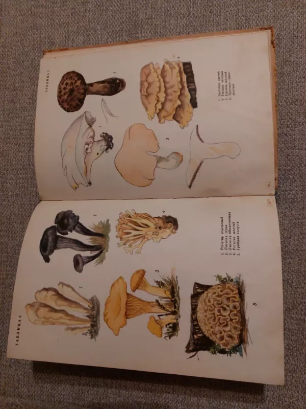 Съедобные и ядовитые грибы - Сержанина Галина Ивановна, knyga 6
