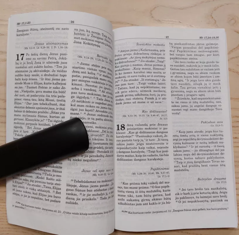 NAUJASIS TESTAMENTAS IR PSALMYNAS - Autorių Kolektyvas, knyga 6