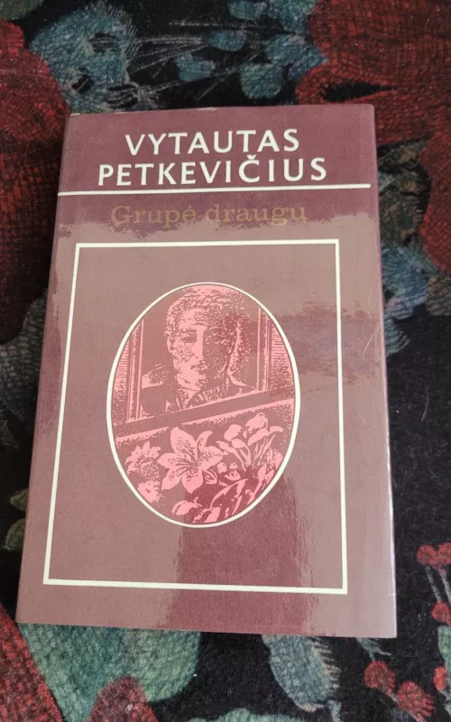Grupė draugų - Vytautas Petkevičius, knyga