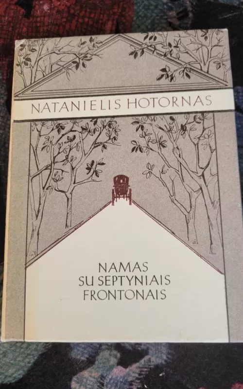 Namas su septyniais frontonais - Natanielis Hotornas, knyga