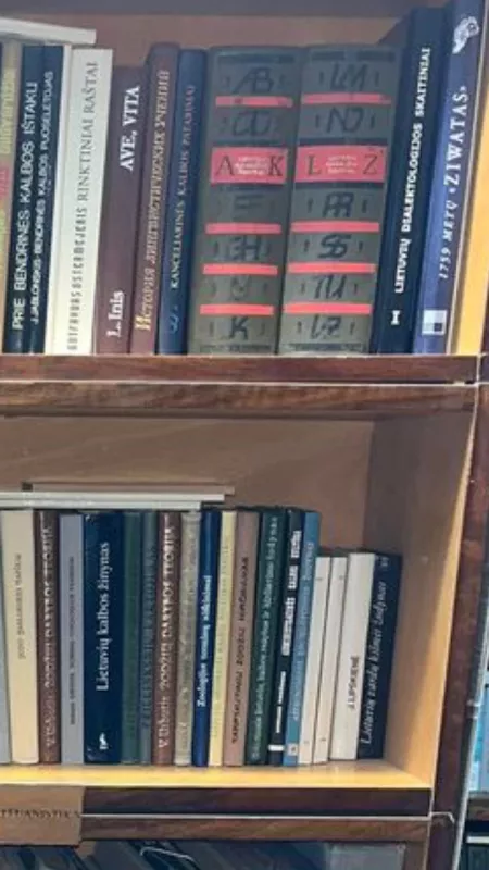 Lietuvių pavardžių žodynas (2 tomai) - Autorių Kolektyvas, knyga 3