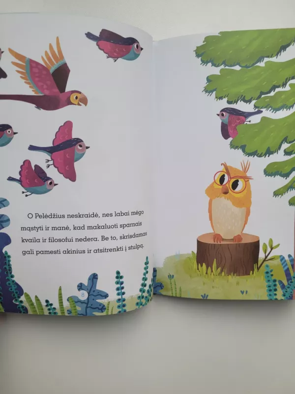 Pelėdžius ir purpurinė antis - Renata Šerelytė, knyga 6