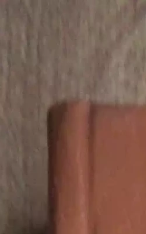 Raštai. Kooperacija - Petras Šalčius, knyga 2