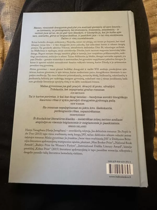 Mažas gyvenimas - Hanya Yanagihara, knyga 3