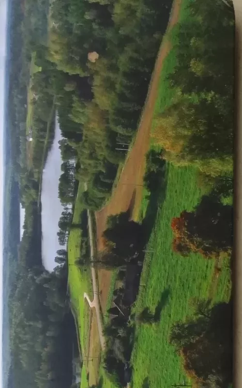 Tūkstantmečio kelias Utenos apskrityje - Autorių Kolektyvas, knyga 2