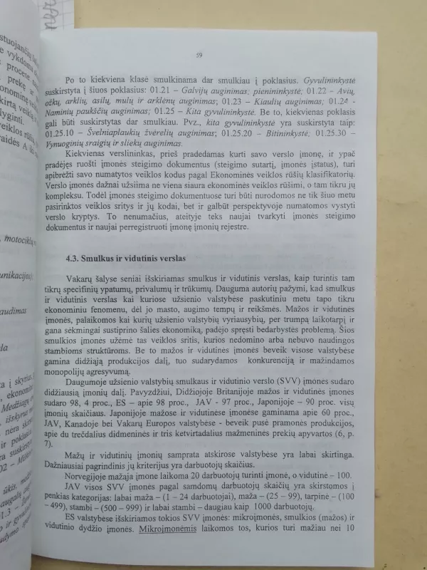 Verslo organizavimo pagrindai, I dalis - Zenonas Kazakevičius, knyga 6