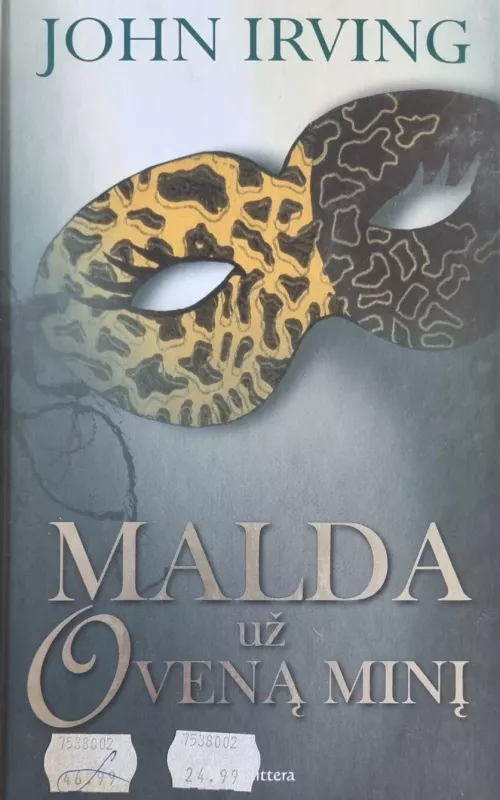 Malda už Oveną Minį - John Irving, knyga