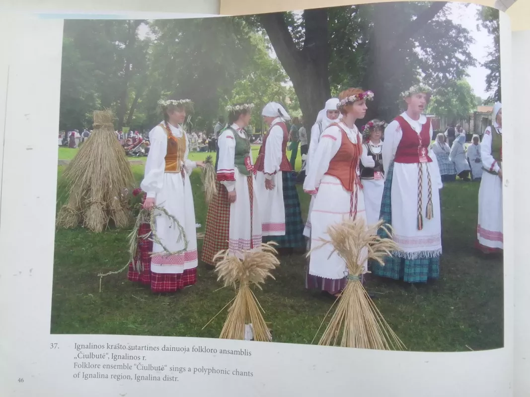 Tūkstantmečio kelias Utenos apskrityje - Autorių Kolektyvas, knyga 5