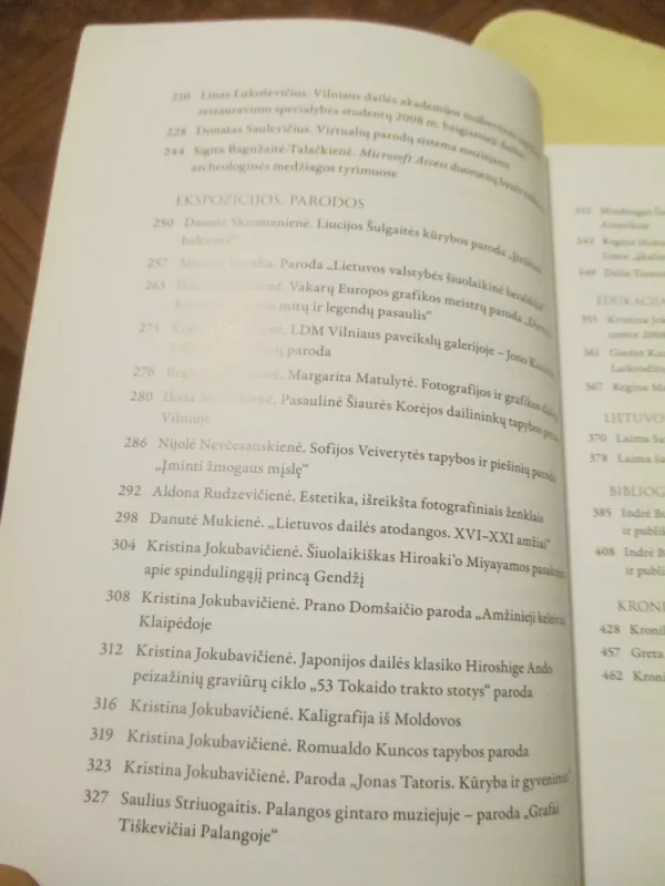 Lietuvos dailes muziejus. Metrastis 13 - Autorių Kolektyvas, knyga 5