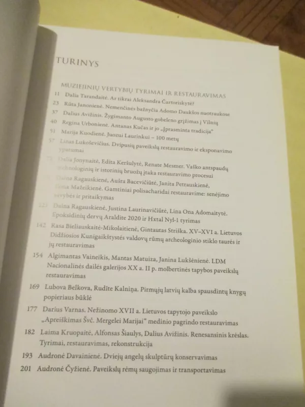 Lietuvos dailes muziejus. Metrastis 13 - Autorių Kolektyvas, knyga 4