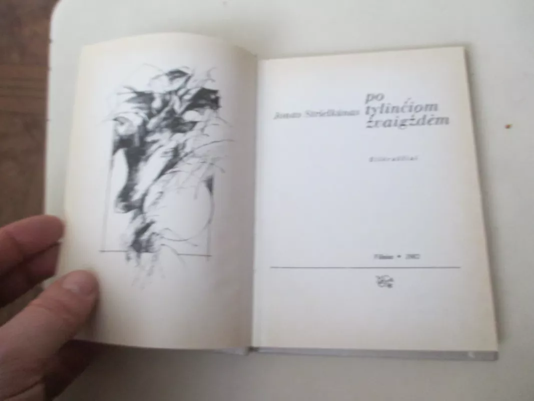 Po tylinčiom žvaigždėm - Jonas Strielkūnas, knyga 3