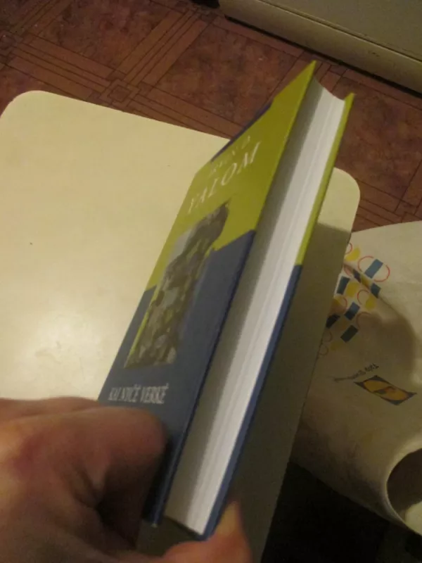 Kai Nyčė Verkė - Irvin D. Yalom, knyga 6