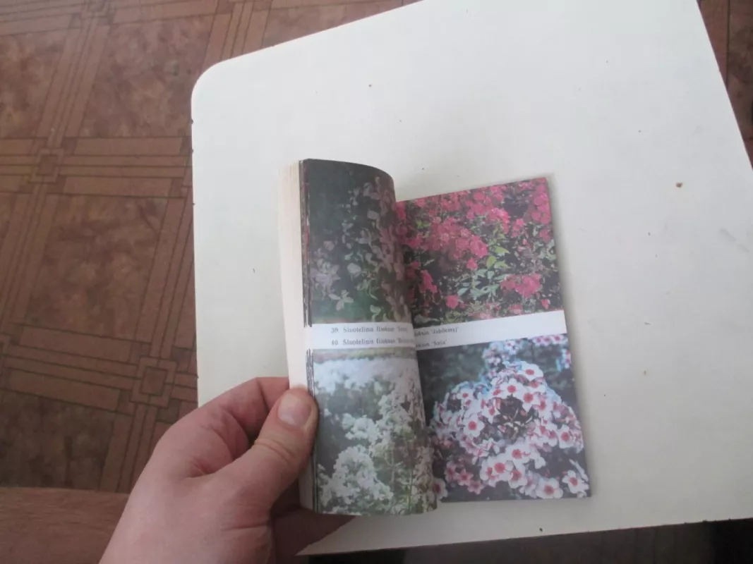 Flioksai - Danutė Dainauskaitė, knyga 5