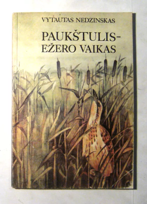 Paukštulis-ežero vaikas - Vytautas Nedzinskas, knyga 4