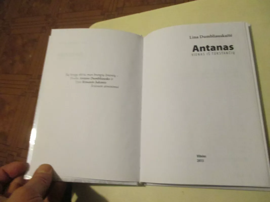 Antanas - Lina Dumbliauskaitė, knyga 3