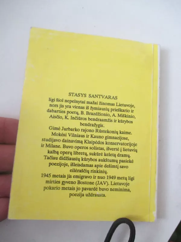 Septyni miestai - Stasys Santvaras, knyga 4