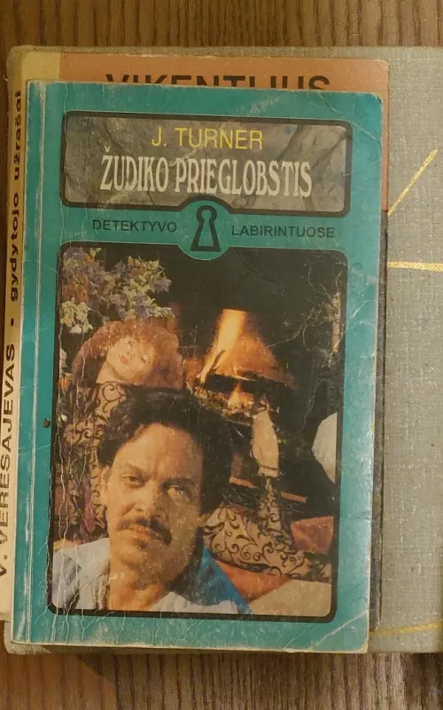 Žudiko prieglobstis - J. Turner, knyga 3