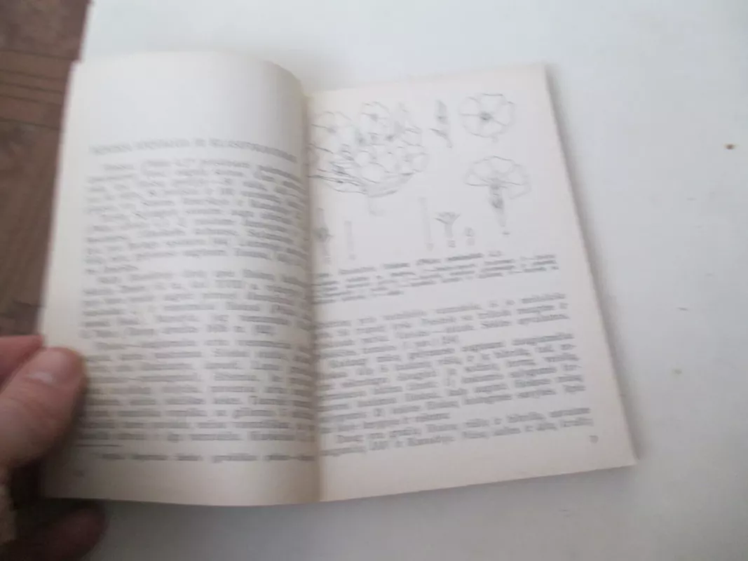 Flioksai - Danutė Dainauskaitė, knyga 3