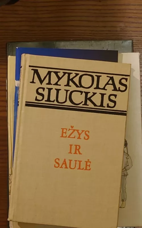 Ežys ir saulė - Mykolas Sluckis, knyga
