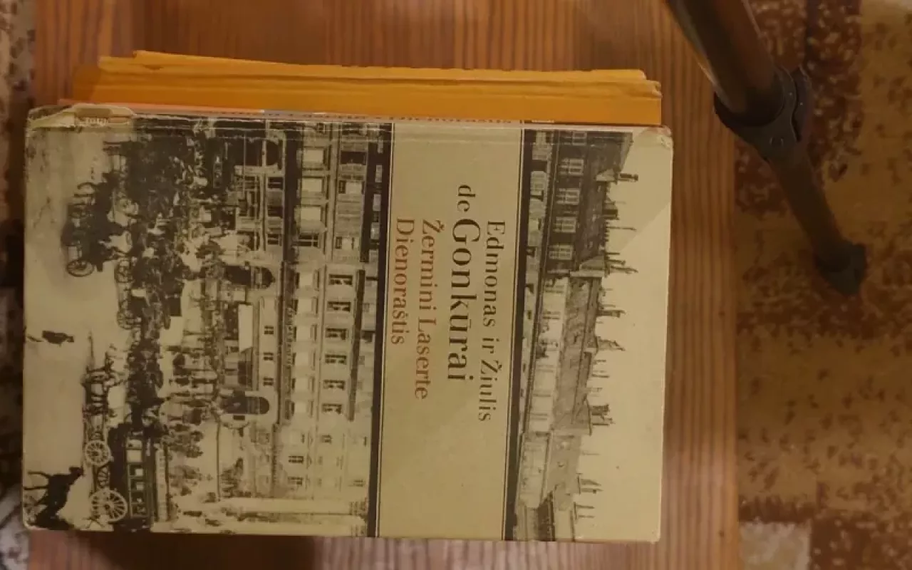 Žermini Laserte. Dienoraštis - Laserte Žermini, knyga 3