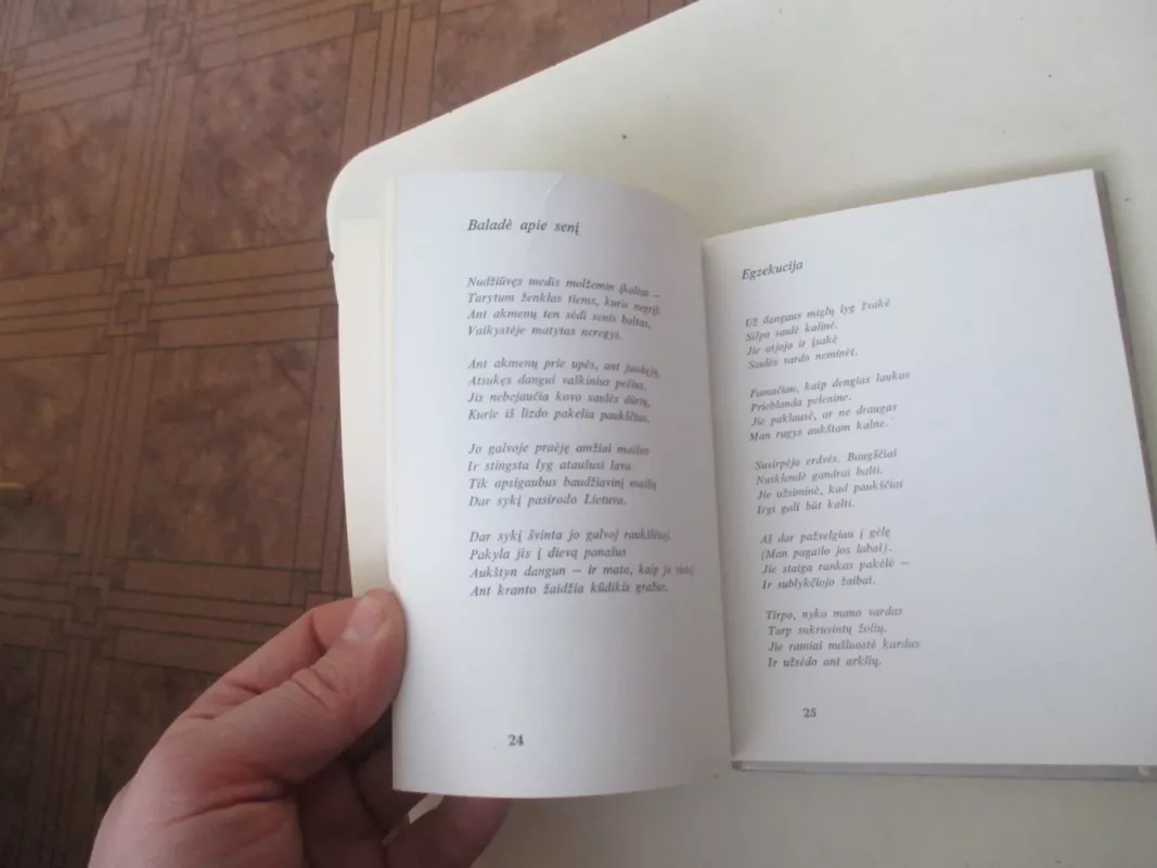 Po tylinčiom žvaigždėm - Jonas Strielkūnas, knyga 4