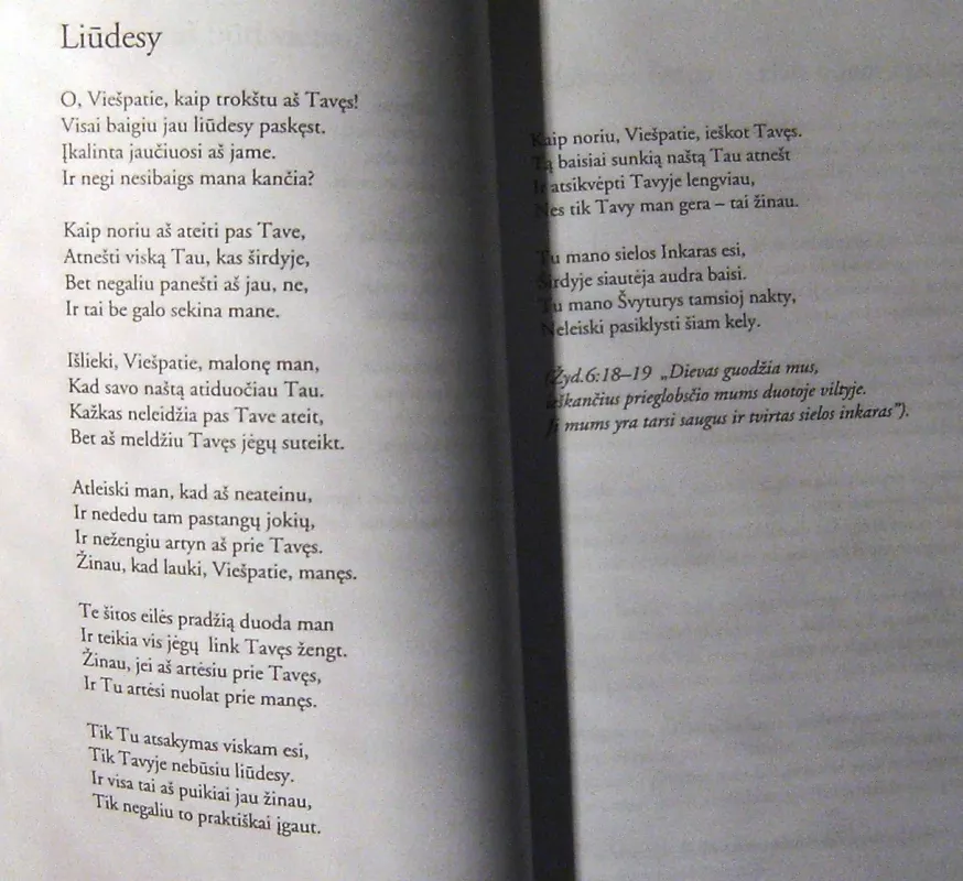 Kada sunku tau bus širdy - Jolanta Toločkaitė, knyga 6