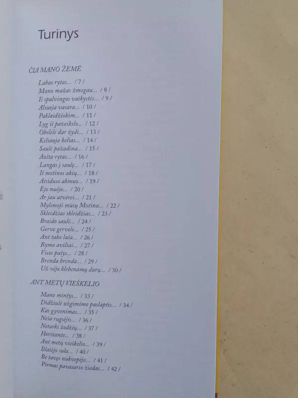 Dienų dėlionė - Ona Jasinskienė, knyga 4