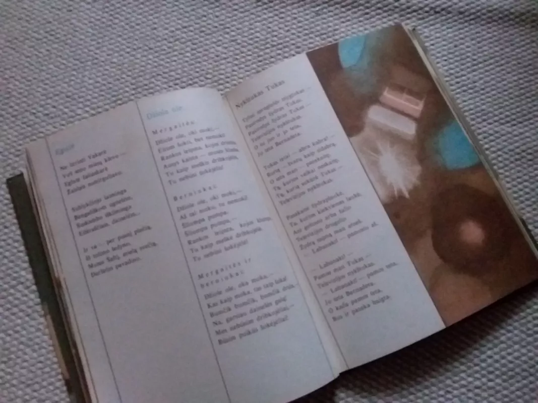 Spalvoti nykštukai - Martynas Vainilaitis, knyga 3