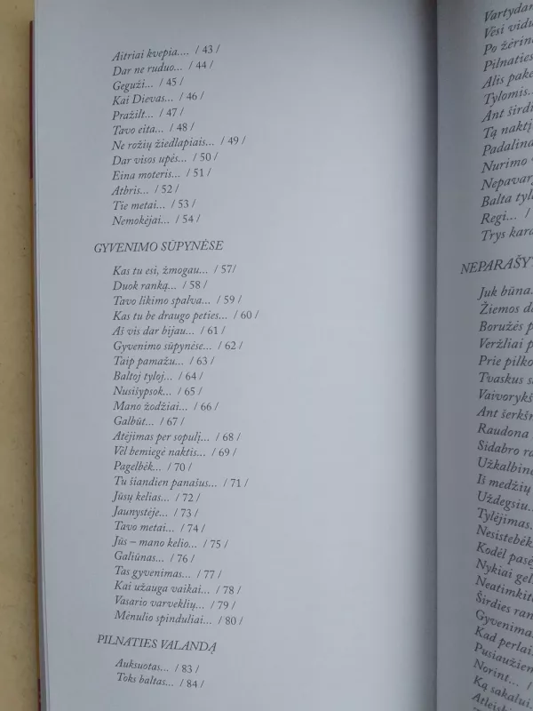 Dienų dėlionė - Ona Jasinskienė, knyga 5