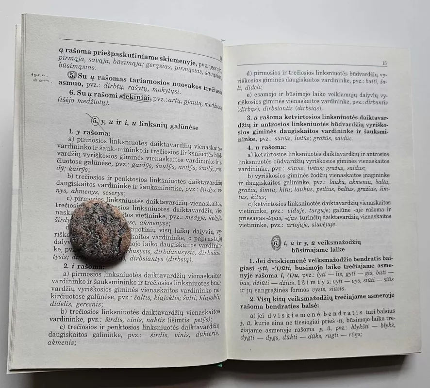 Mokomasis lietuvių kalbos rašybos ir kirčiavimo žodynas - Antanas Lyberis, knyga 4