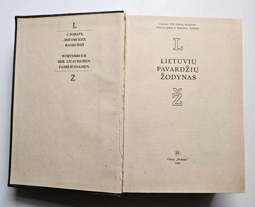 Lietuvių pavardžių žodynas (2 tomas) - Aleksandras Vanagas, knyga 3