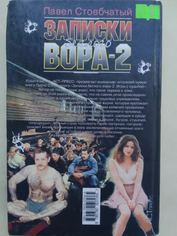 Записки беглого вора - 2 - Павел Стовбчатый, knyga 6