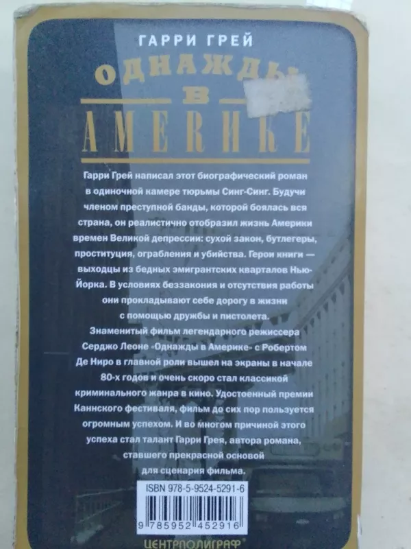 Однажды в Америке - Гарри Грей, knyga 5