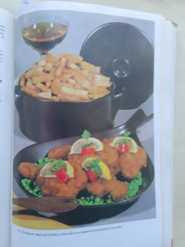 Česká kuchařka - Juliana A. Fialová, knyga 6