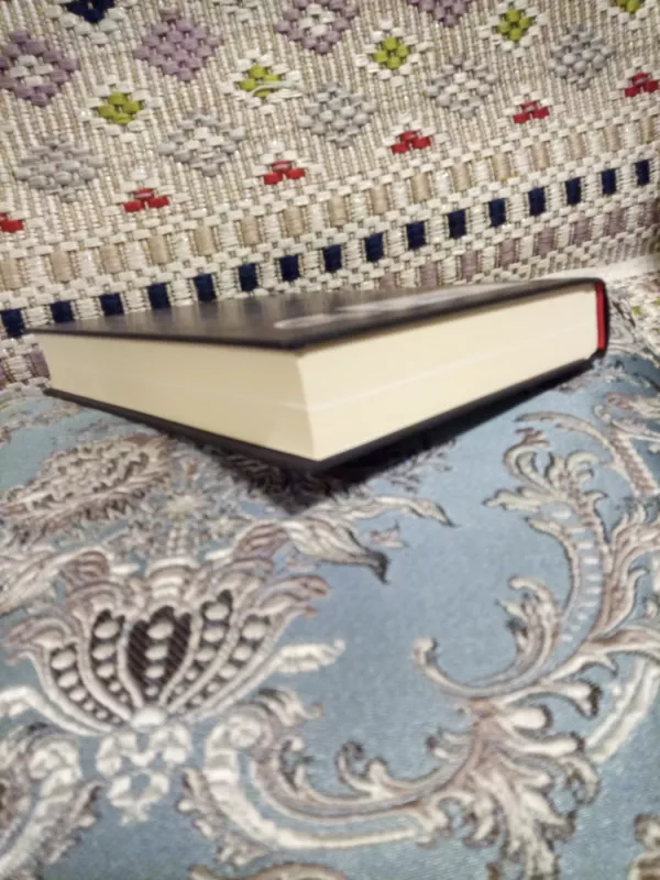 Diana, Viljamas ir Haris - James Patterson, knyga 3