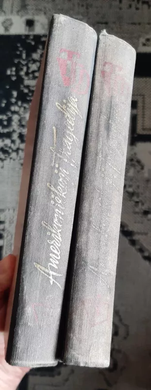 Amerikietiškoji tragedija (2 tomai) - T. Dreizeris, knyga 3