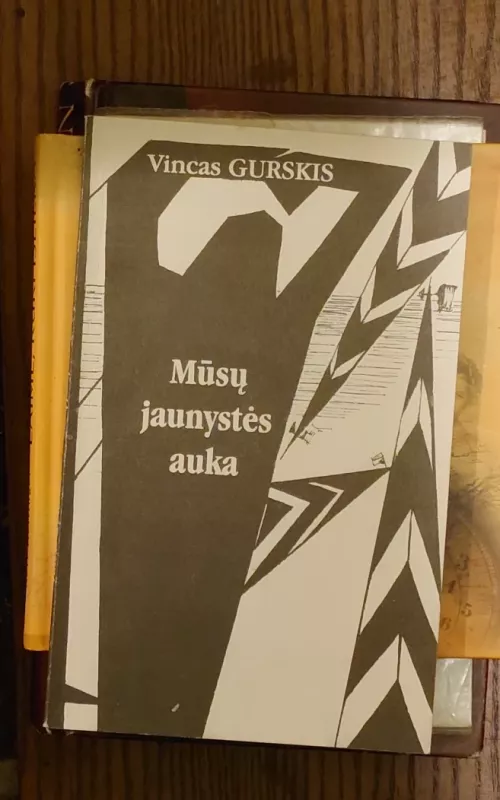 Mūsų jaunystės auka - Vincas Gurskis, knyga